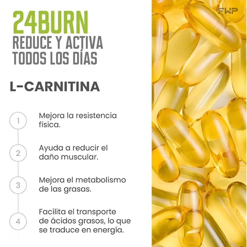 24BURN FWP Original - Té Verde + Panax Ginseng + L-Carnitina